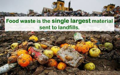 Food: The big waste problem of the year for 2021?
