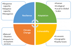Framework used by environmental consultants