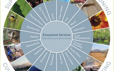 The Importance of EcoSystem Services, Natural Capital, and Rewilding