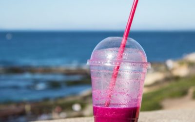 The Plastic Straw Debate