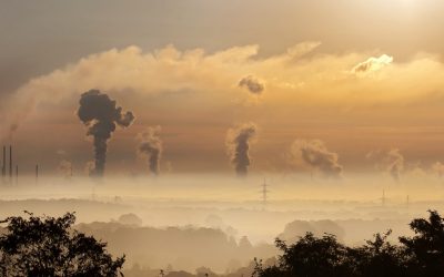 Impact of Climate Change on Businesses using PESTLE analysis?