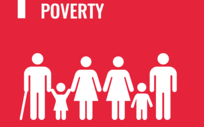 SDG 1: No Poverty | Brave New World