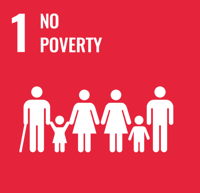 SDG 1: No Poverty | Brave New World