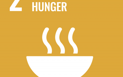 SDG 2: Zero Hunger | Brave New World