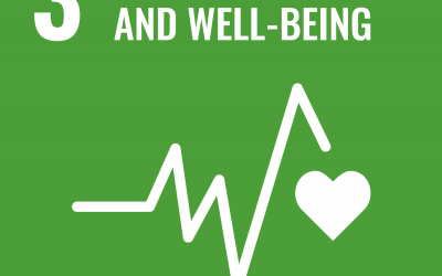 SDG 3: Good Health and Well-being | Brave New World
