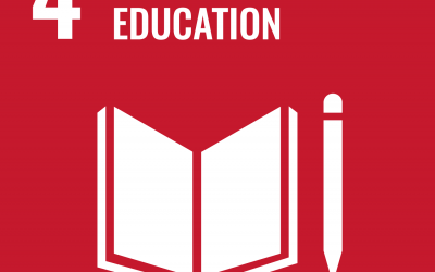 SDG 4: Quality Education | Brave New World