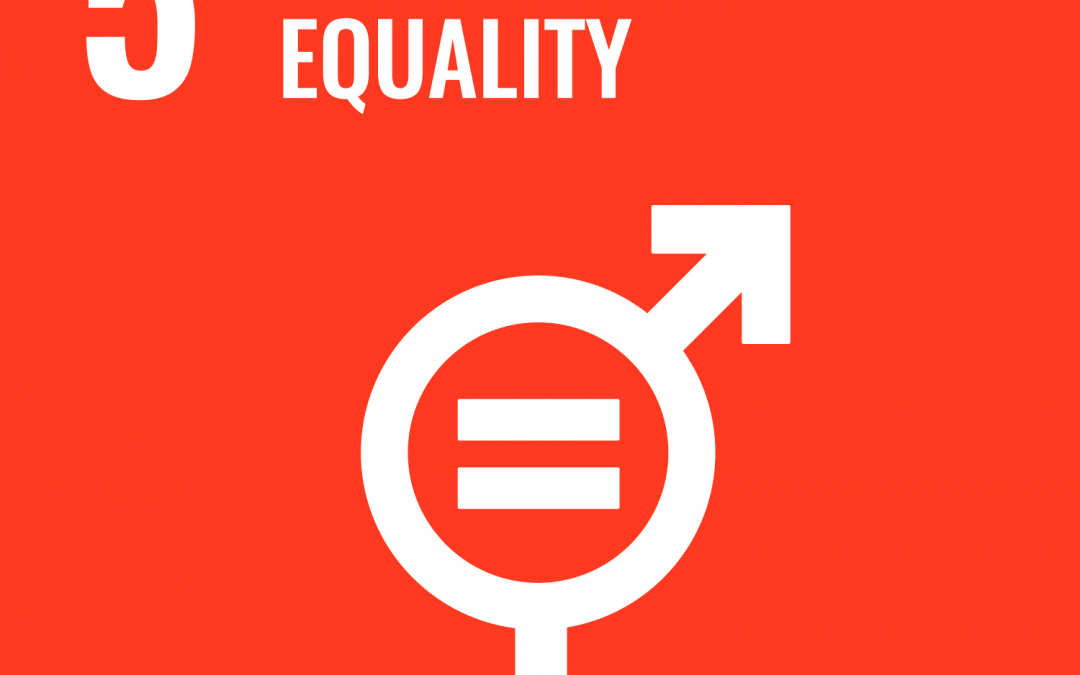 SDG 5: Gender Equality | Brave New World