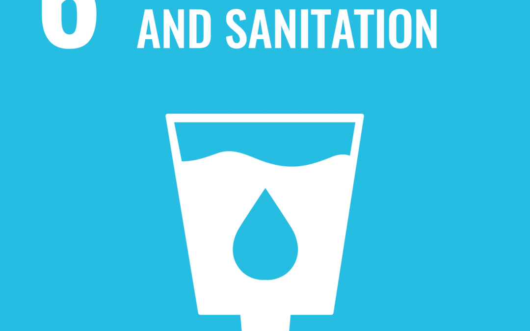 SDG 6: Clean Water and Sanitation | Brave New World