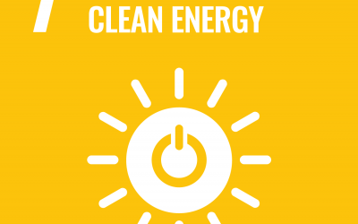 SDG 7: Affordable and Clean Energy | Brave New World