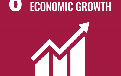 SDG 8: Decent Work and Economic Growth | Brave New World