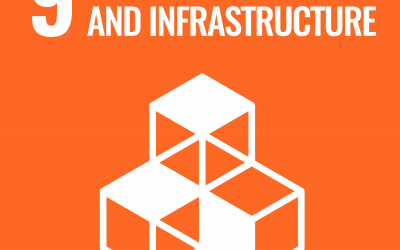 SDG 9: Industry, Innovation and Infrastructure | Brave New World