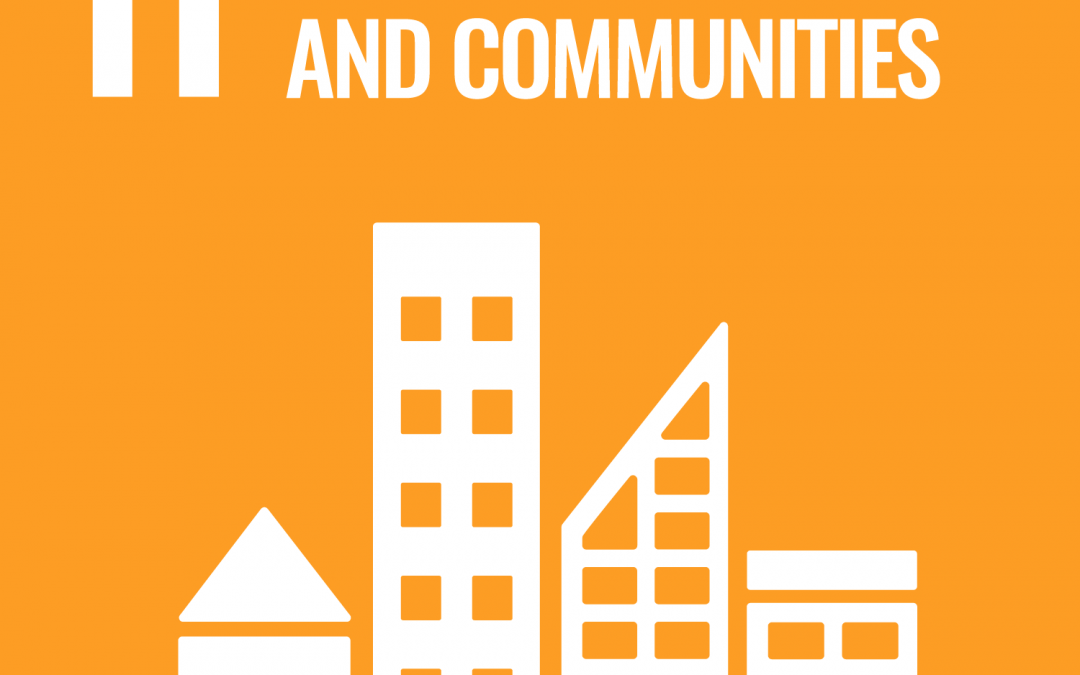 SDG 11: Sustainable Cities and Communities | Brave New World