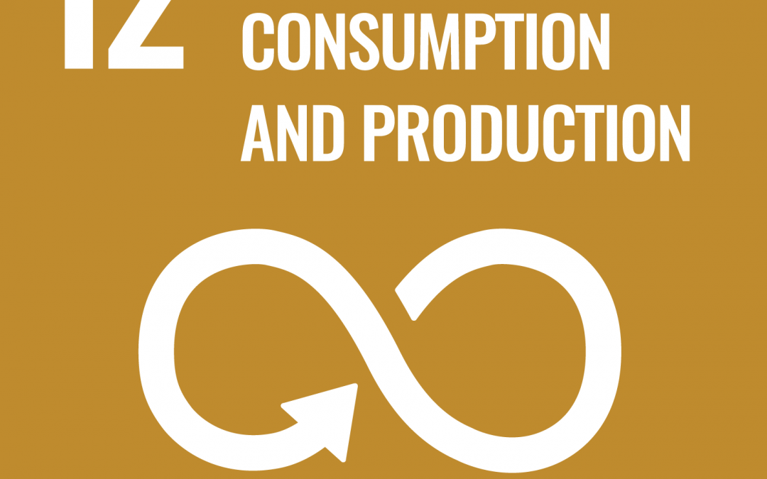 SDG 12: Responsible Consumption and Production | Brave New World