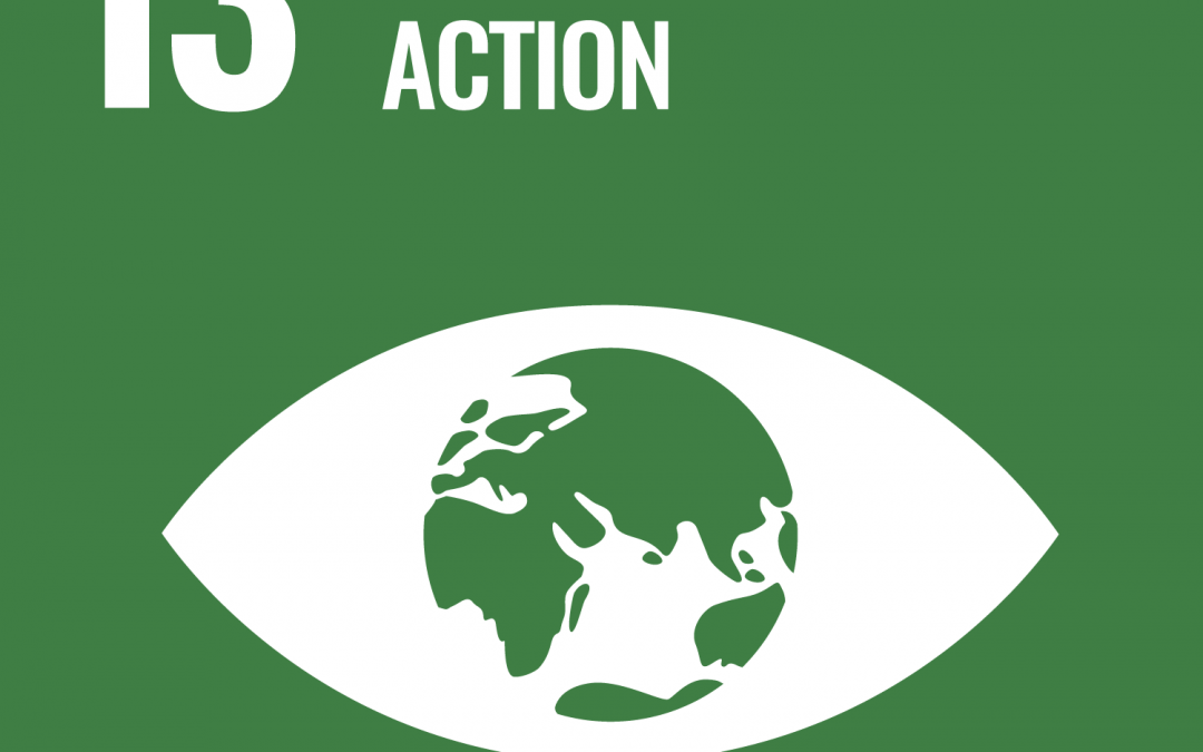 SDG 13: Climate Action | Brave New World