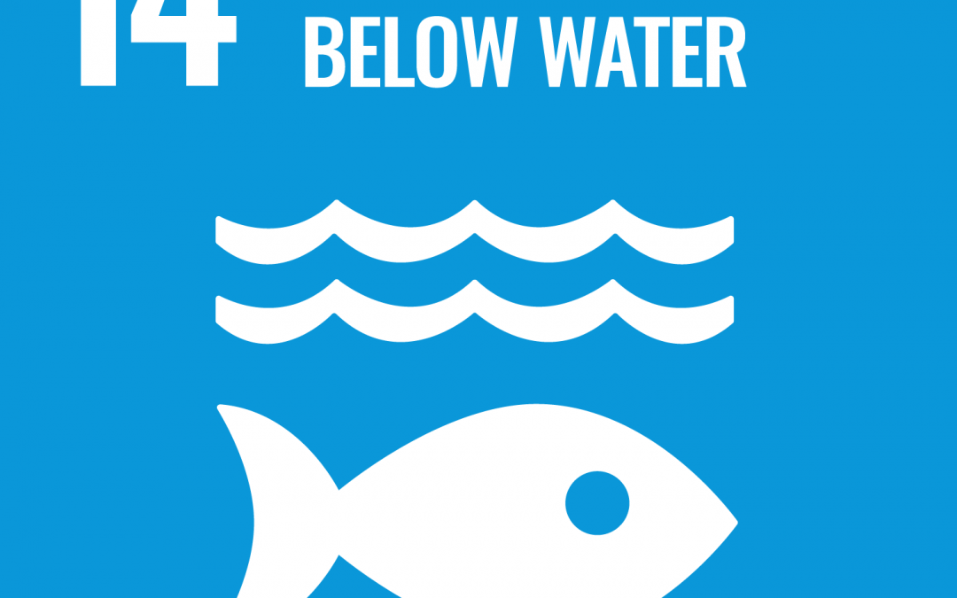 SDG 14: Life Below Water | Brave New World