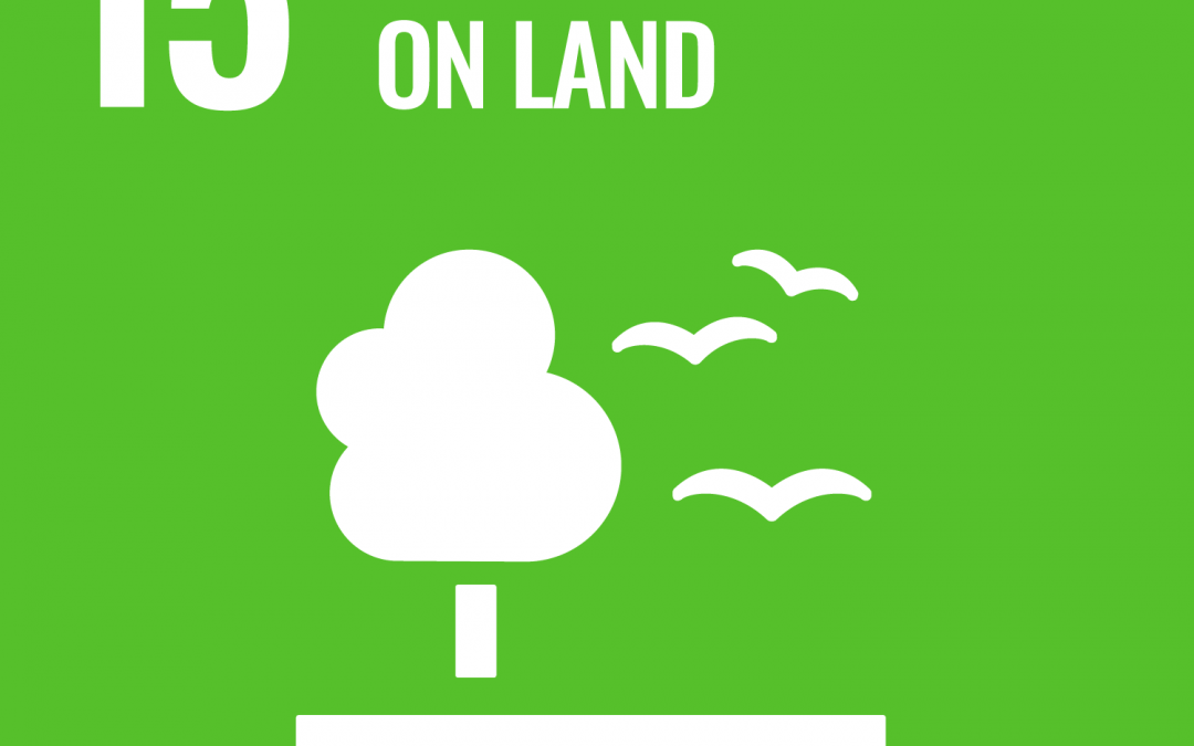 SDG 15: Life on Land | Brave New World