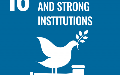 SDG 16: Peace, Justice, and Strong Institutions | Brave New World