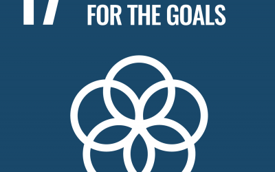 SDG 17: Partnerships for the Goals | Brave New World
