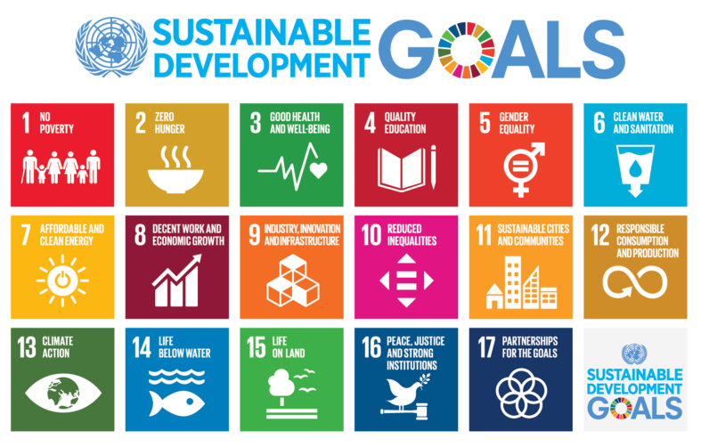 What Are Sustainable Development Goals and How Can Businesses Use Them?