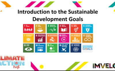 Introduction to the SDG’s – An Online Workshop