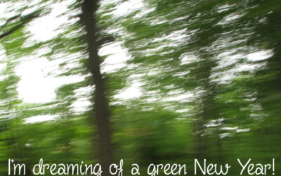 Setting New Year’s Sustainability Visions!