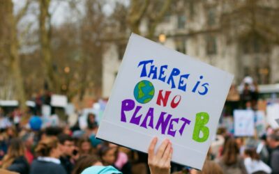 Declaring a Climate Emergency