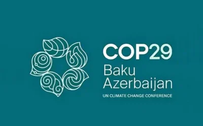 UN Climate Change Conference 2024 (UNFCCC COP 29): COP 29 Jargon