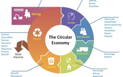 Circular Economy – Everything that you need to know!