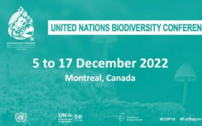 COP15 – United Nations Biodiversity Conference 2022 (Conference of Parties)