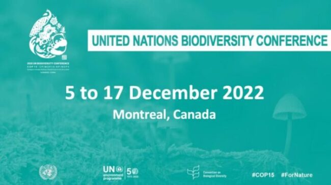 COP15 – United Nations Biodiversity Conference 2022 (Conference of Parties)