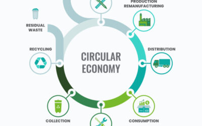 Circular Design and design for recycling – an important element of circular economy