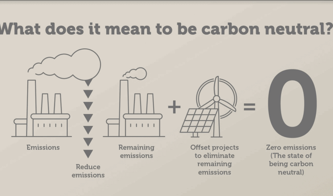 Carbon Audit : A Practical Guide for Businesses in 2024