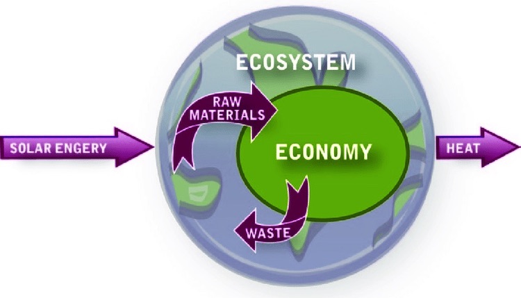 Ecological Economics – Everything you need to know!