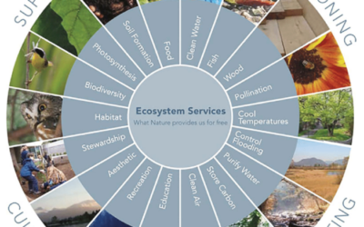 Millennium Ecosystem Assessment 