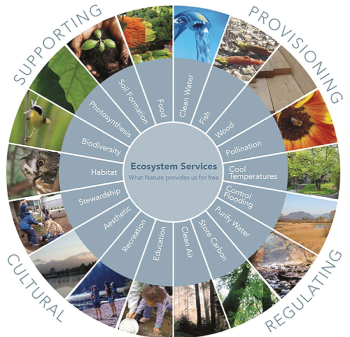 Millennium Ecosystem Assessment 