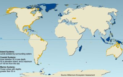 Status and Progress of Implementation of Millennium Ecosystem Assessment 