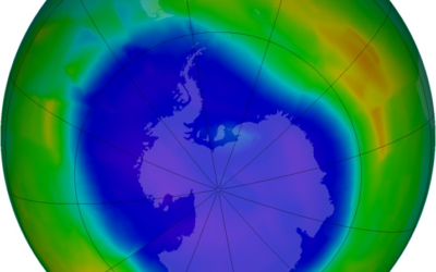 Ozone Depleting Substances: Everything You Need to Know