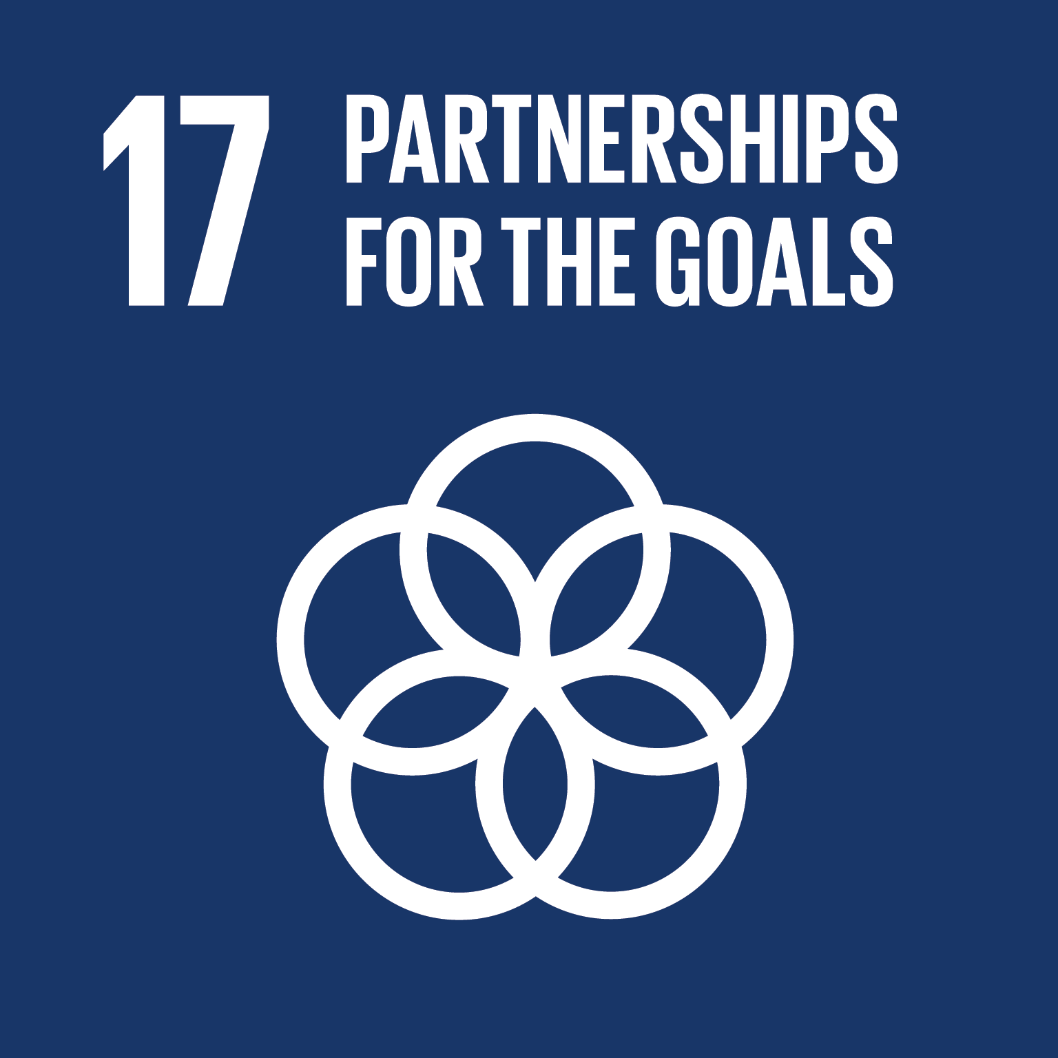 SDG 17: Partnership for Sustainable Development Goals