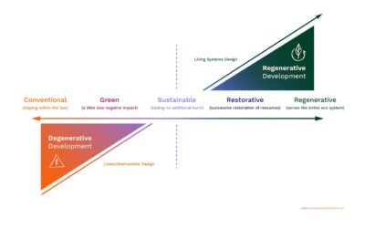 Regenerative Businesses – An Insight