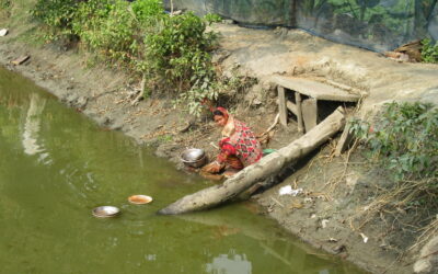 Water Insecurity