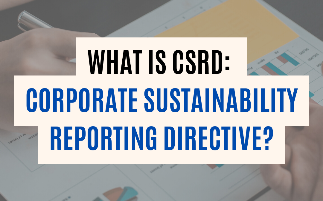 CSRD: Corporate Sustainability Reporting Directive UK 2023