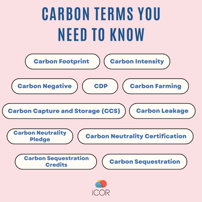 Carbon terms explained