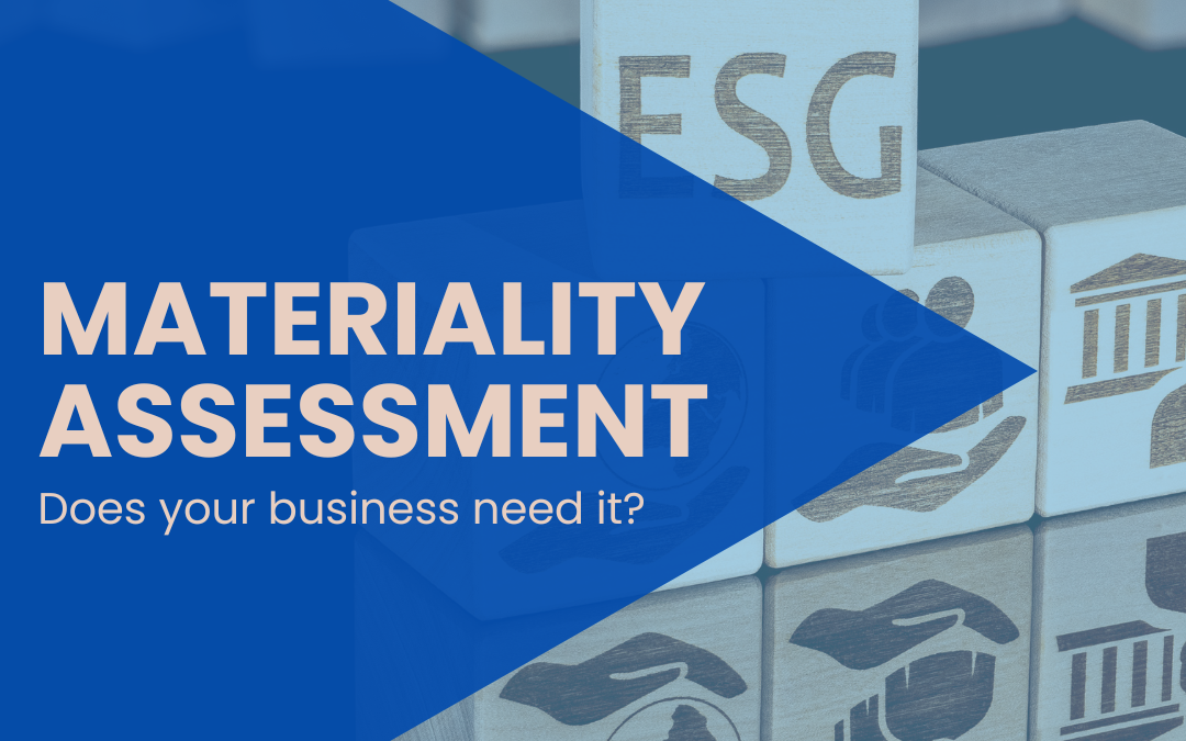 Materiality Assessment 2025