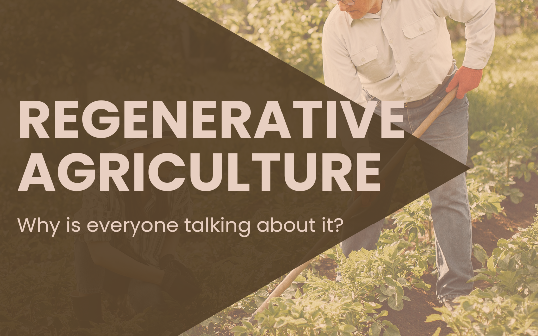 Regenerative agriculture: Why is everyone talking about it? 2024