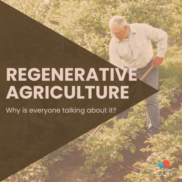 Regenerative Agriculture in UK