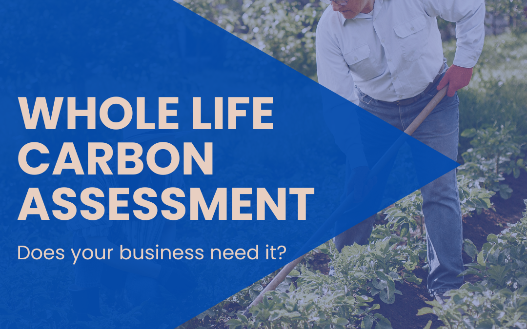 Whole Life Carbon Assessment 