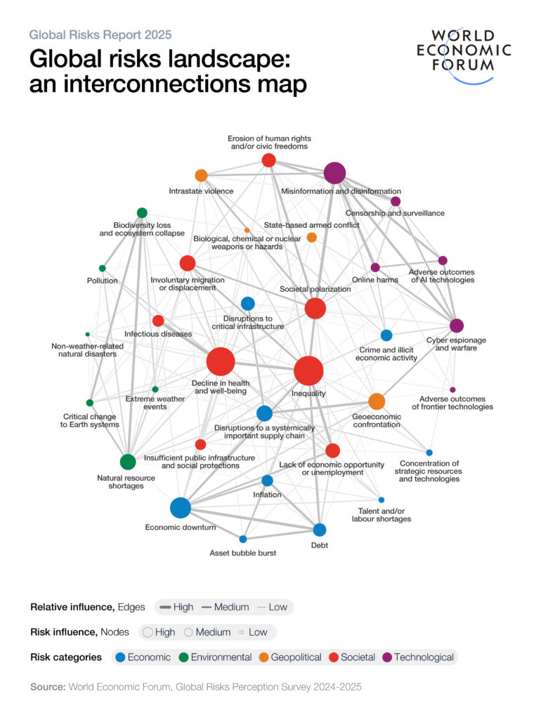 WEF Global Risks Report 2025