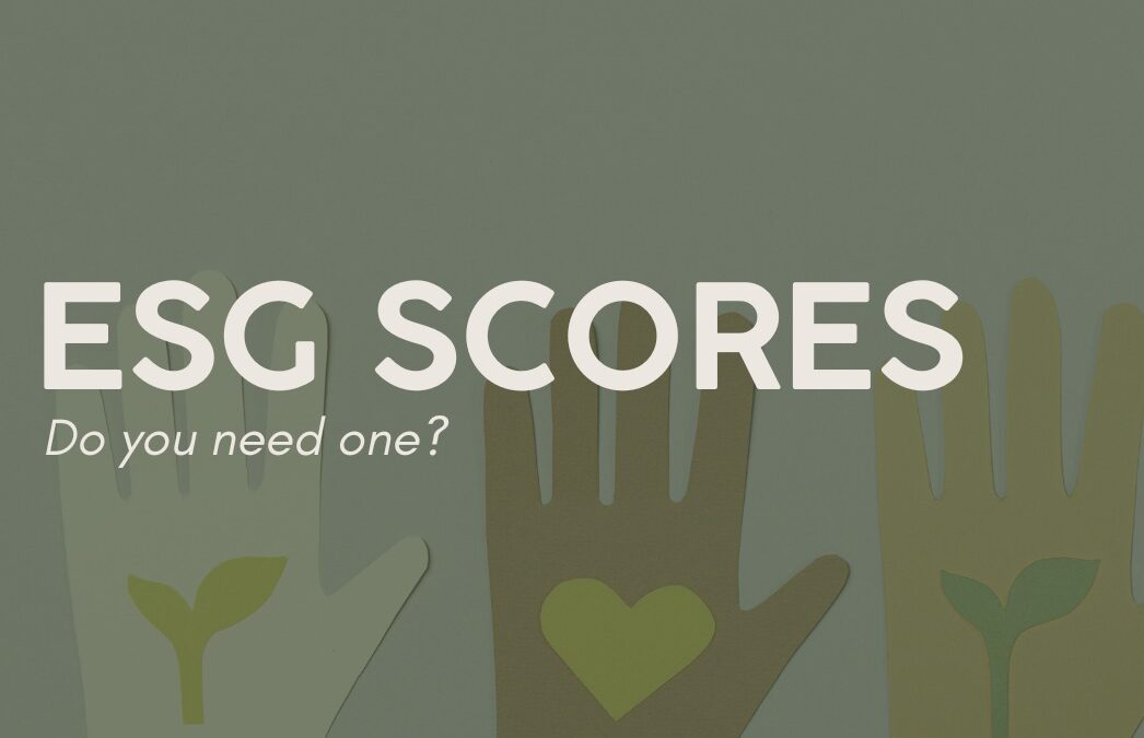 ESG Score – A guide 2025
