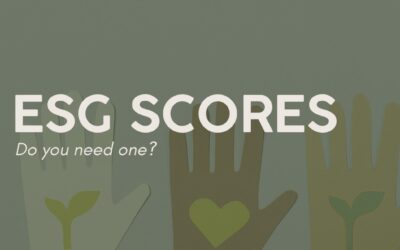 ESG Score – A guide 2025