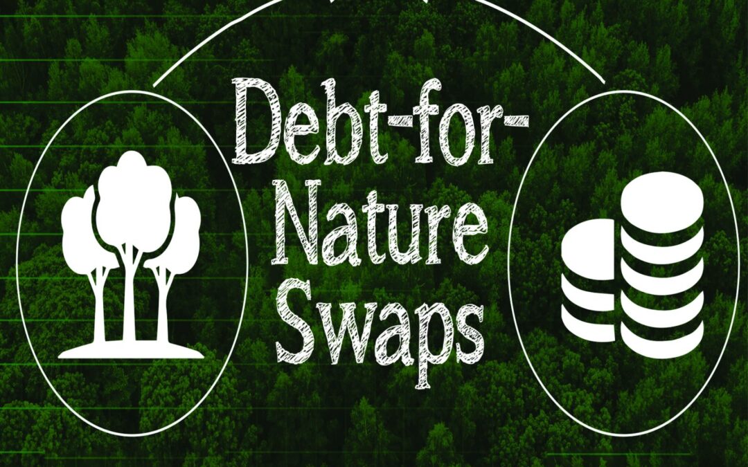 Debt For Nature Swap – how do they work? 2025